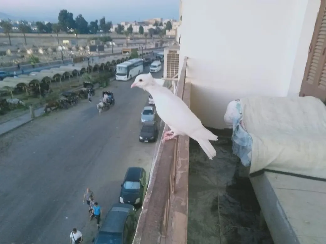 Pito Home Luxor Apartment